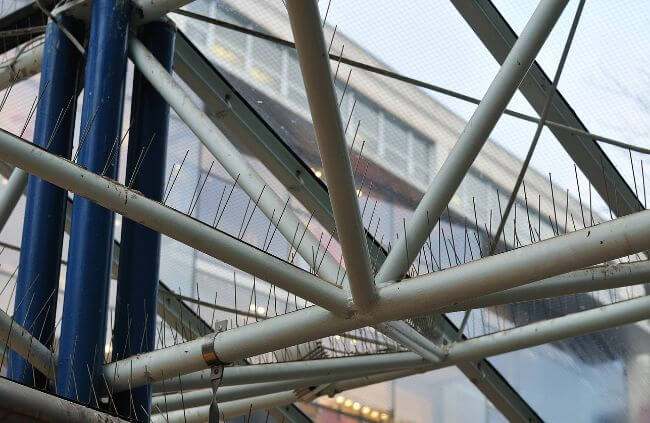 Bird proofing in Sydney using pigeon spikes and netting to protect buildings and prevent roosting.