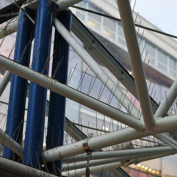 Bird proofing spikes installed on commercial steel beams to prevent pigeons from roosting – part of professional bird control in Sydney. Bird proofing spikes installed on commercial steel beams to prevent pigeons from roosting – part of professional bird control in Sydney.