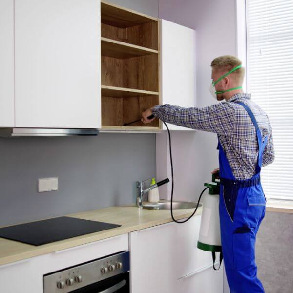 End of lease pest control in Sydney by True Blue Pest Control, providing pet-safe flea treatment and kitchen pest fumigation. End of lease pest control in Sydney by True Blue Pest Control, providing pet-safe flea treatment and kitchen pest fumigation.