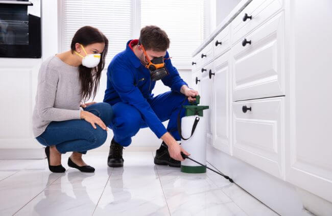 End of lease pest fumigation in Sydney by True Blue Pest Control, including flea spray and treatment for rental bond return. End of lease pest fumigation in Sydney by True Blue Pest Control, including flea spray and treatment for rental bond return.