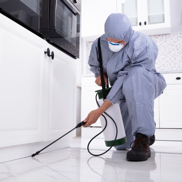 Pest control in Sydney by True Blue Pest Control technician applying treatment along kitchen skirting board. Pest control in Sydney by True Blue Pest Control technician applying treatment along kitchen skirting board.