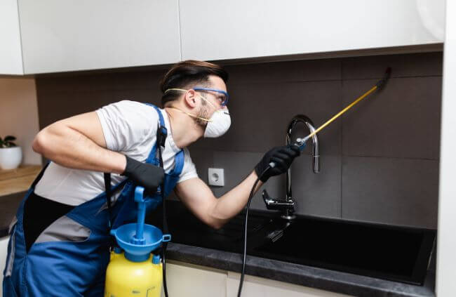 Technician from True Blue Pest Control performing residential pest control in Sydney with safe, targeted treatment under a kitchen cabinet.